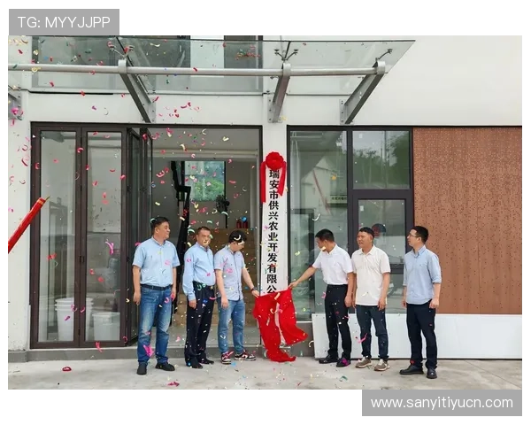 多米体育官网登录账号安全保障措施，保障玩家个人信息与财产安全